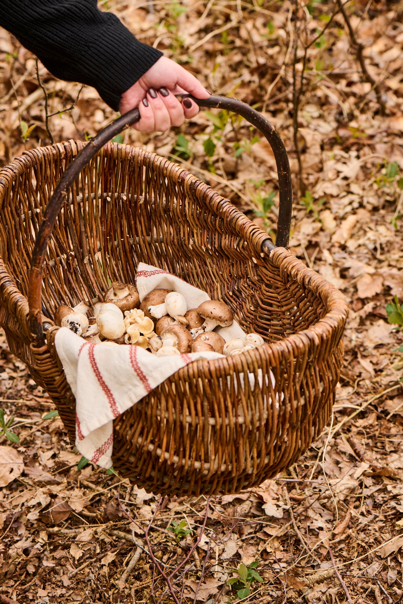 Panier en osier