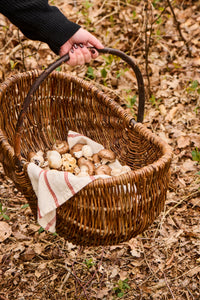 Panier en osier