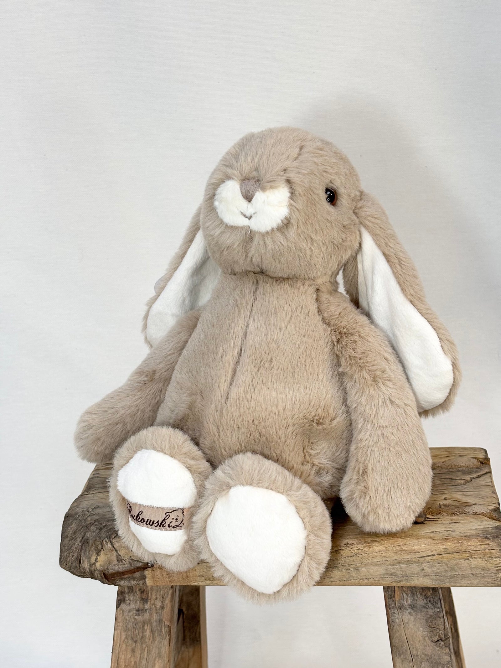 Lovely Bunny Kanini