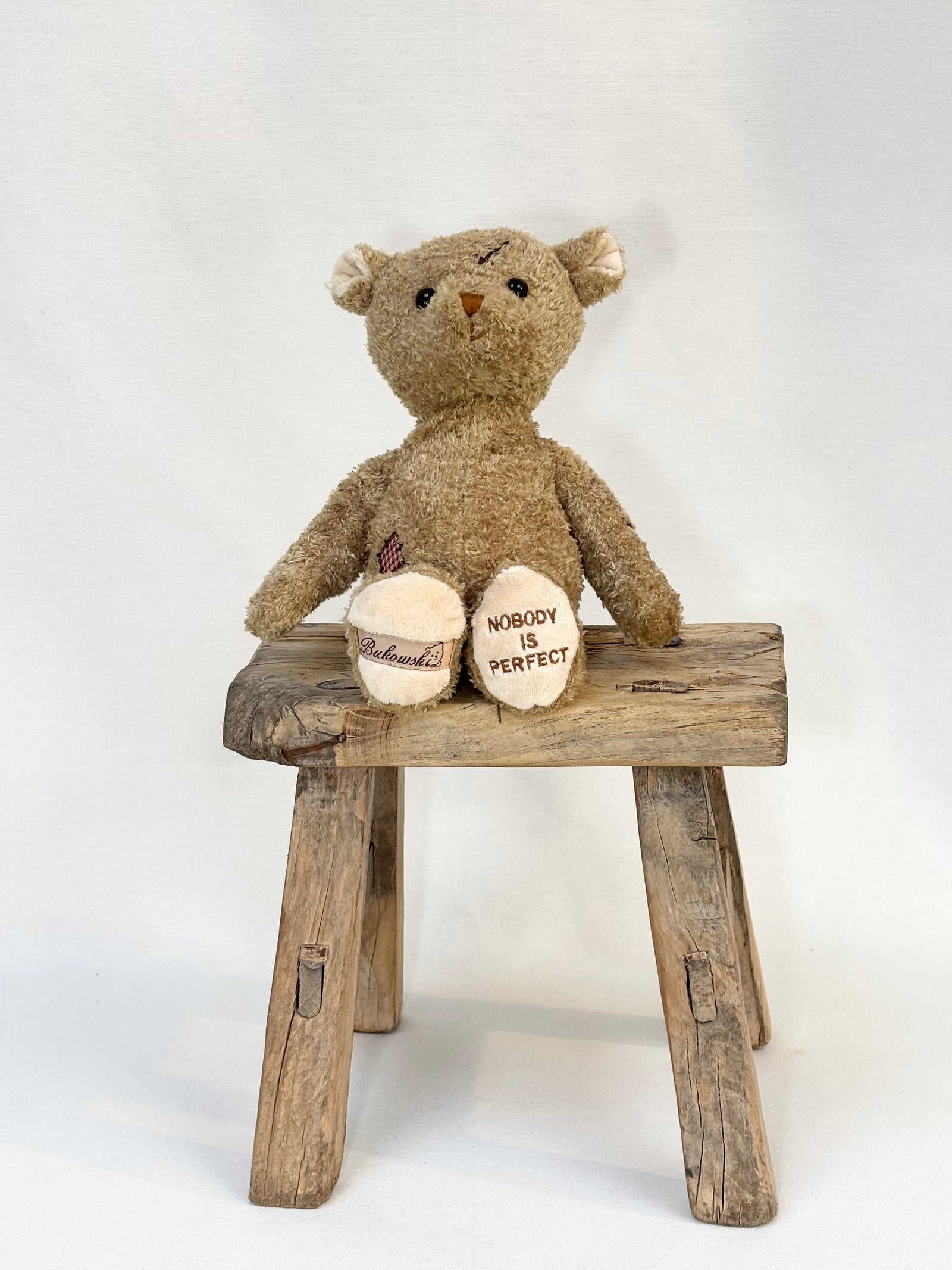 Teddy Bear Nobody's Perfect