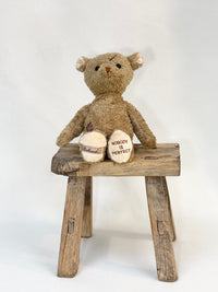 Teddy Bear Nobody's Perfect