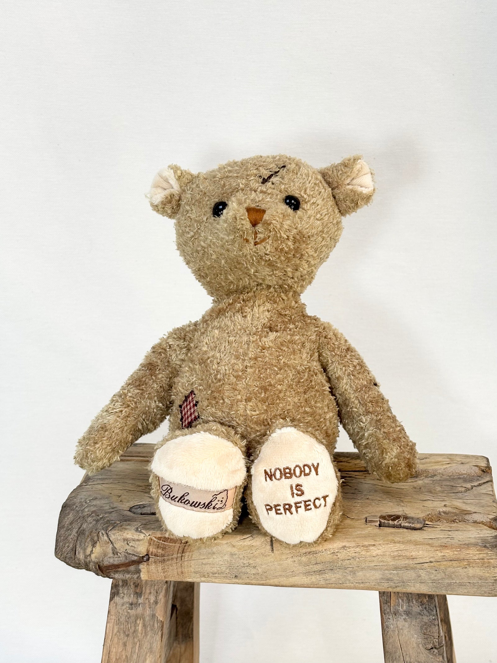 Teddy Bear Nobody's Perfect