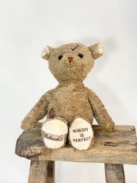Teddy Bear Nobody's Perfect