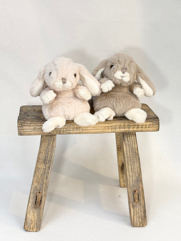 Kanini the Rabbit