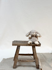 Kanini the Rabbit