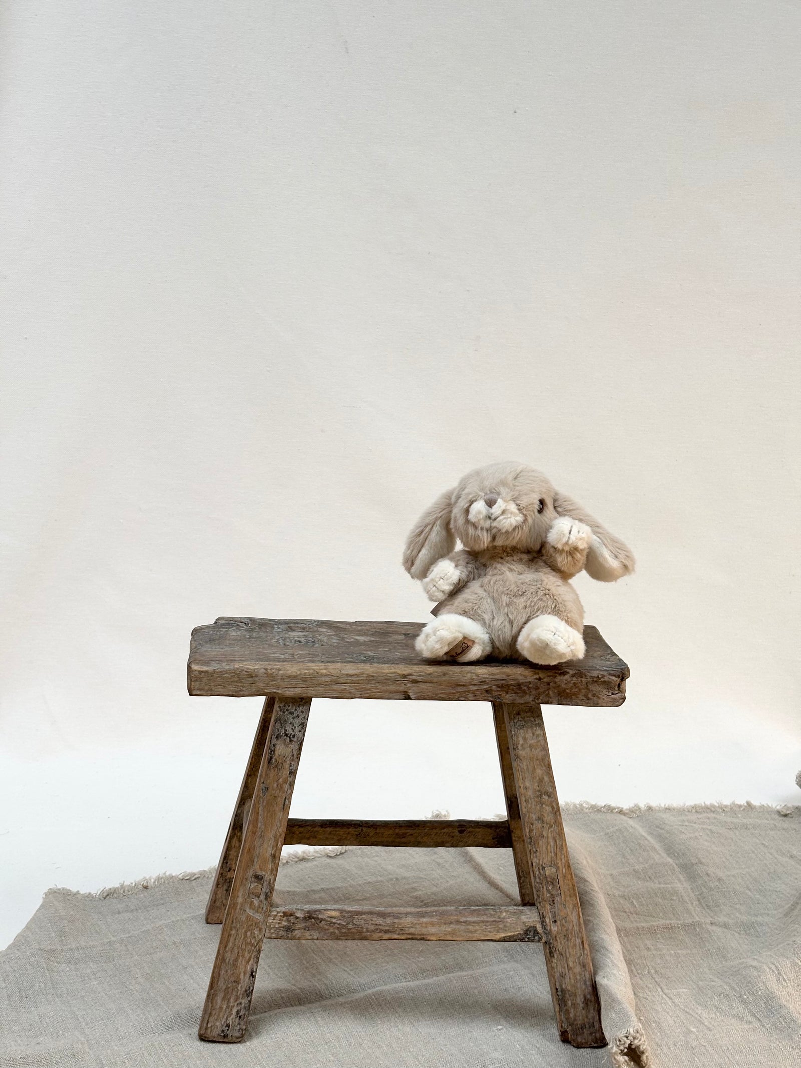 Kanini the Rabbit