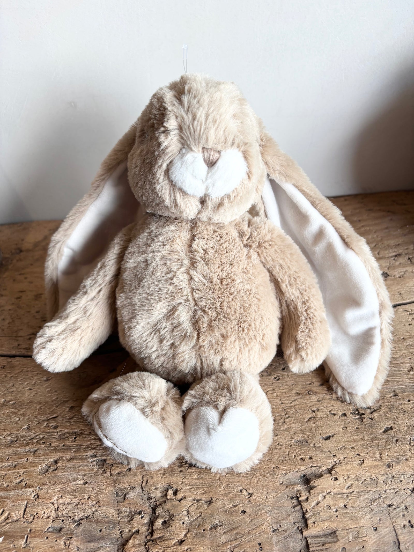 Lapin Friendly Kanini