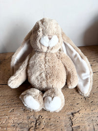 Lapin Friendly Kanini