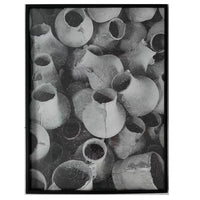Photographie - Jodphur