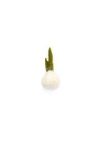 Fruits & Légumes en feutrine